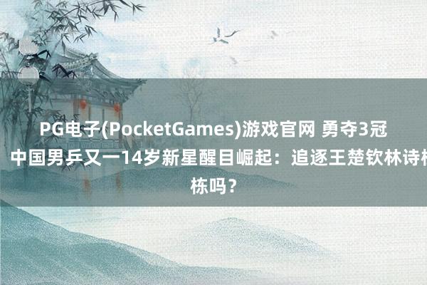 PG电子(PocketGames)游戏官网 勇夺3冠1亚！中国男乒又一14岁新星醒目崛起：追逐王楚钦林诗栋吗？