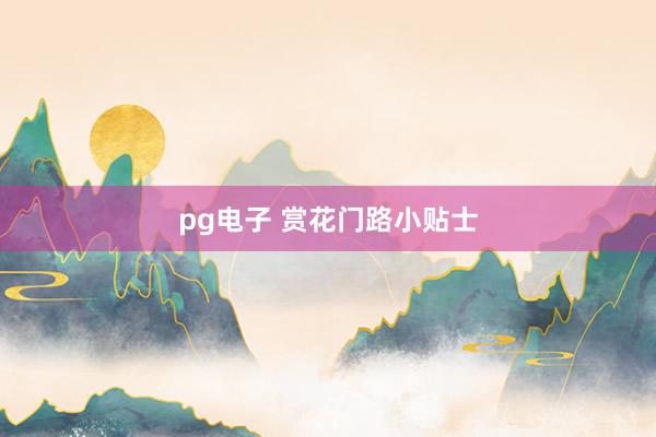 pg电子 赏花门路小贴士