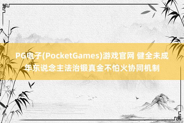 PG电子(PocketGames)游戏官网 健全未成年东说念主法治锻真金不怕火协同机制