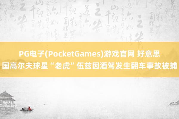 PG电子(PocketGames)游戏官网 好意思国高尔夫球星“老虎”伍兹因酒驾发生翻车事故被捕