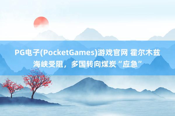 PG电子(PocketGames)游戏官网 霍尔木兹海峡受阻，多国转向煤炭“应急”