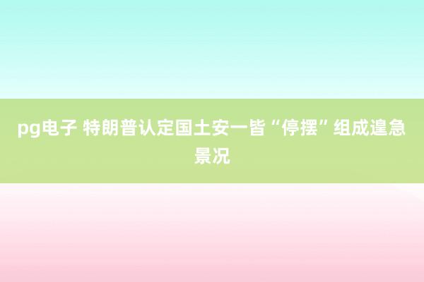 pg电子 特朗普认定国土安一皆“停摆”组成遑急景况
