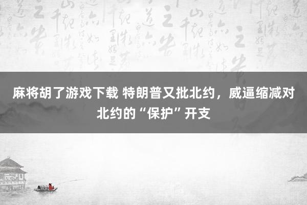 麻将胡了游戏下载 特朗普又批北约，威逼缩减对北约的“保护”开支