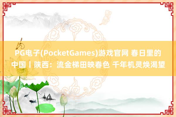 PG电子(PocketGames)游戏官网 春日里的中国丨陕西：流金梯田映春色 千年机灵焕渴望