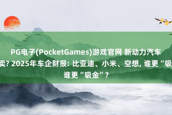 PG电子(PocketGames)游戏官网 新动力汽车亏本卖? 2025年车企财报: 比亚迪、小米、空想, 谁更“吸金”?