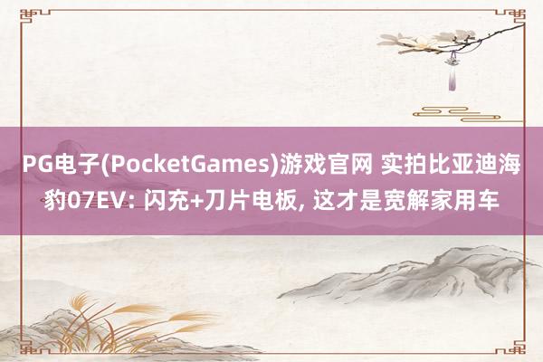 PG电子(PocketGames)游戏官网 实拍比亚迪海豹07EV: 闪充+刀片电板, 这才是宽解家用车