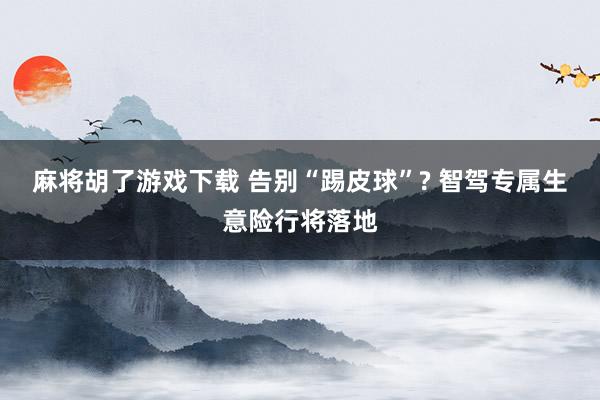 麻将胡了游戏下载 告别“踢皮球”? 智驾专属生意险行将落地