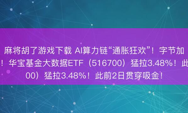 麻将胡了游戏下载 AI算力链“通胀狂欢”！字节加多25%老本开支！华宝基金大数据ETF（516700）猛拉3.48%！此前2日贯穿吸金！