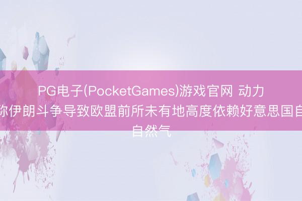 PG电子(PocketGames)游戏官网 动力智库称伊朗斗争导致欧盟前所未有地高度依赖好意思国自然气