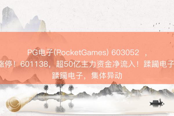 PG电子(PocketGames) 603052  ，强势带领2涨停！601138，超50亿主力资金净流入！蹂躏电子，集体异动