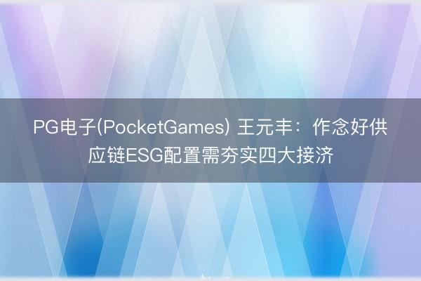 PG电子(PocketGames) 王元丰：作念好供应链ESG配置需夯实四大接济