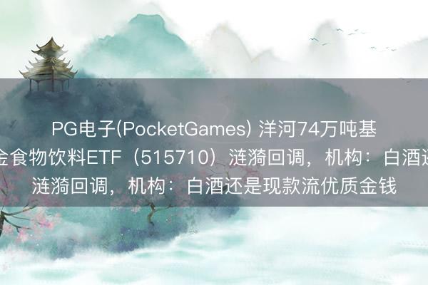 PG电子(PocketGames) 洋河74万吨基酒“撑腰”！华宝基金食物饮料ETF（515710）涟漪回调，机构：白酒还是现款流优质金钱