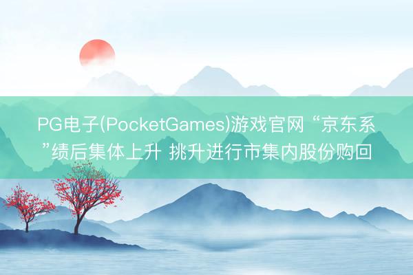 PG电子(PocketGames)游戏官网 “京东系”绩后集体上升 挑升进行市集内股份购回