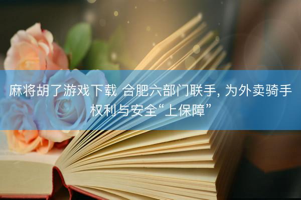 麻将胡了游戏下载 合肥六部门联手， 为外卖骑手权利与安全“上保障”