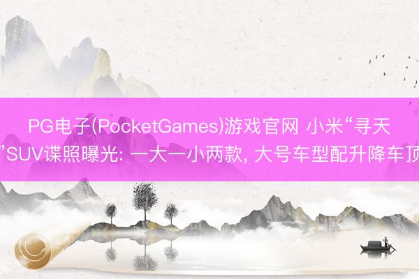 PG电子(PocketGames)游戏官网 小米“寻天”SUV谍照曝光: 一大一小两款， 大号车型配升降车顶
