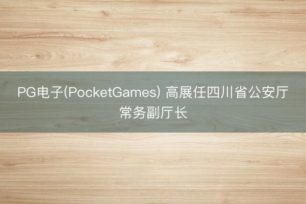 PG电子(PocketGames) 高展任四川省公安厅常务副厅长