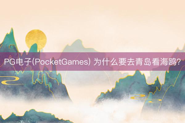 PG电子(PocketGames) 为什么要去青岛看海鸥？