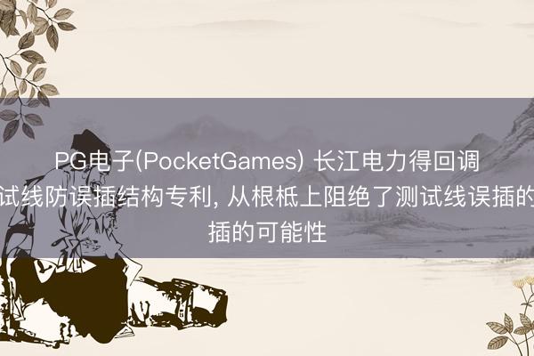 PG电子(PocketGames) 长江电力得回调试箱测试线防误插结构专利， 从根柢上阻绝了测试线误插的可能性
